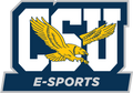 Coppin State University